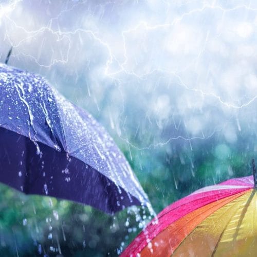 雨と傘のイラスト